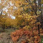 Hotel Gredos Maria Justina (adults Only)