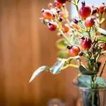 Hotel Gredos Maria Justina (adults Only) Navacepeda de Tormes
