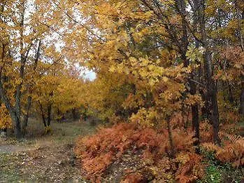 Hotel Gredos Maria Justina (adults Only)