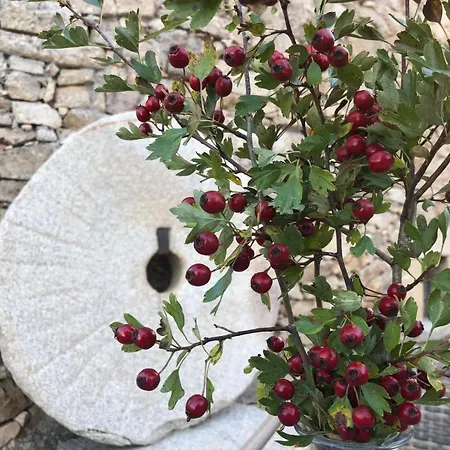 فندق Gredos Maria Justina (adults Only) 4*