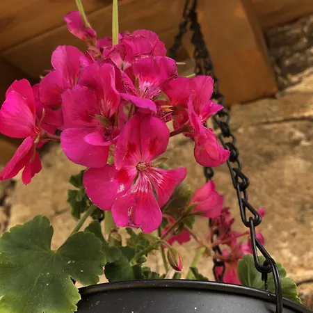 Gredos Maria Justina (adults Only) Hotel