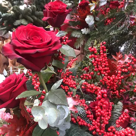 Gredos Maria Justina (adults Only) 4* Navacepeda de Tormes