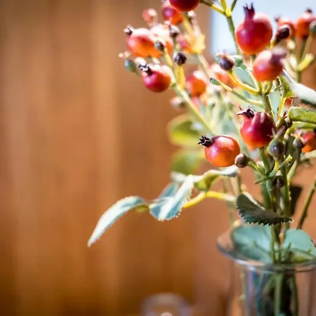 فندق Gredos Maria Justina (adults Only) Navacepeda de Tormes