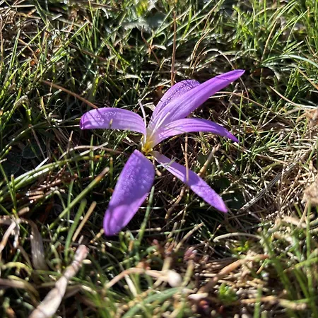 Gredos Maria Justina (adults Only) 4* Navacepeda de Tormes