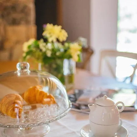 Gredos Maria Justina (adults Only)