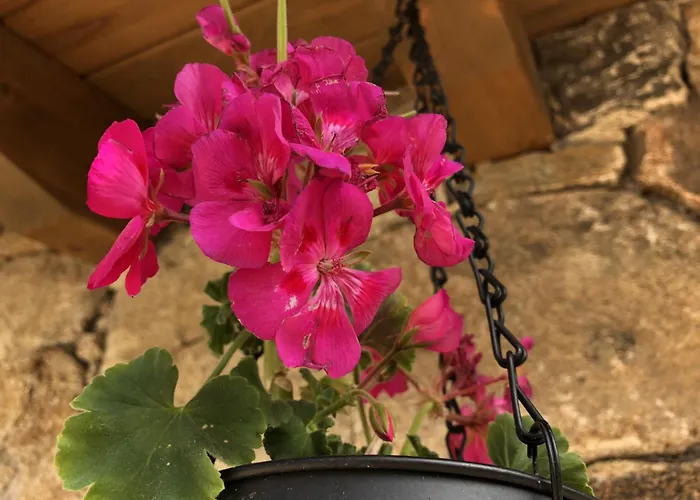 Gredos Maria Justina (adults Only) Szálloda