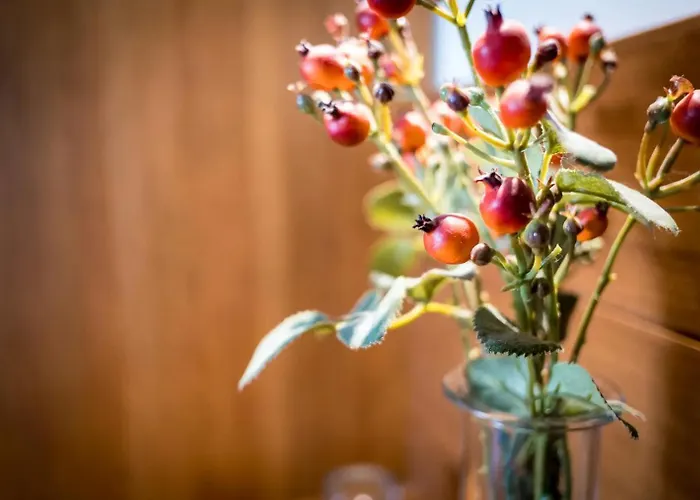 Hotel Gredos Maria Justina (adults Only) Navacepeda de Tormes